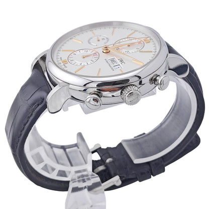 Portofino Chronograph 42mm 2021 - IW391031