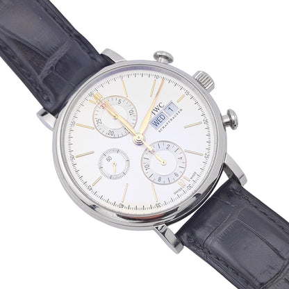 Portofino Chronograph 42mm 2021 - IW391031